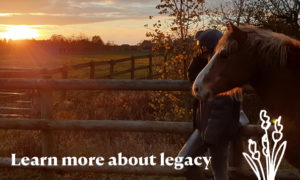 Learn more about Legacy