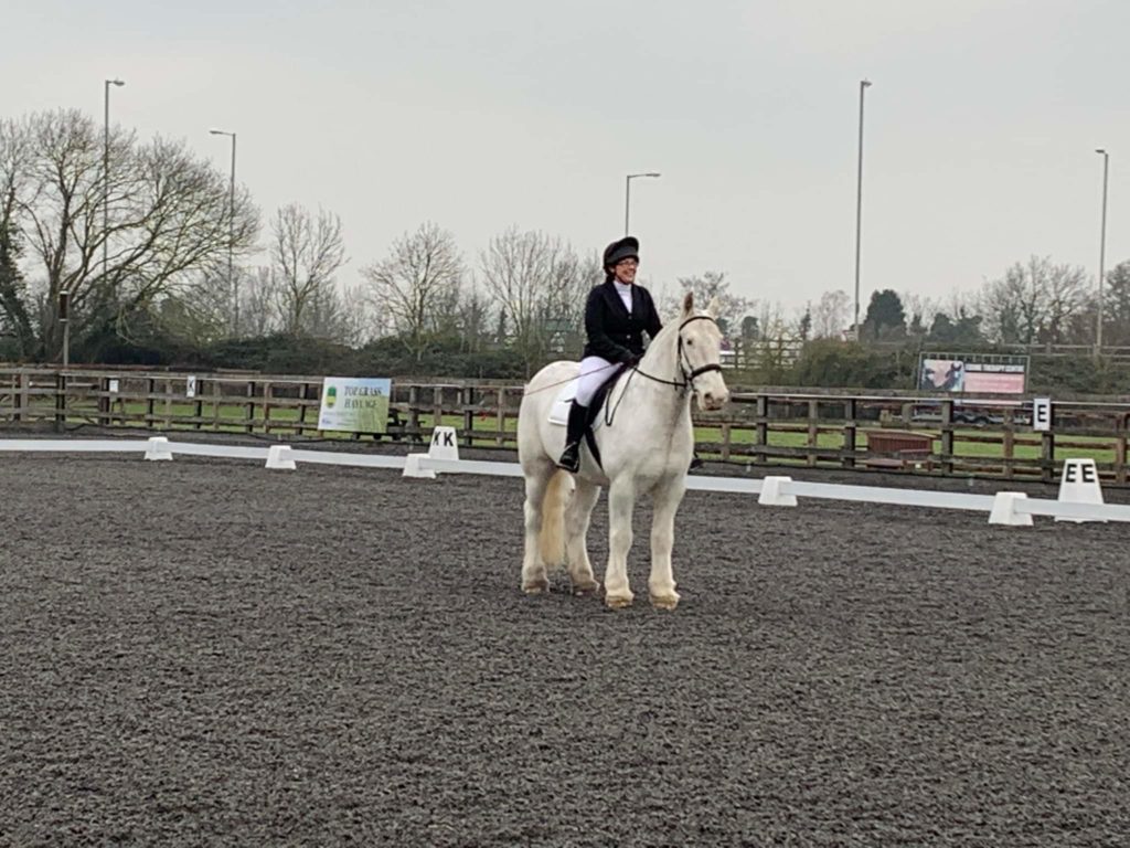 Tudor competing