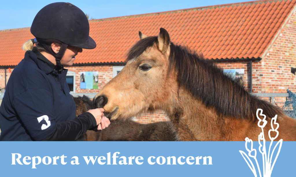 Report a welfare concern