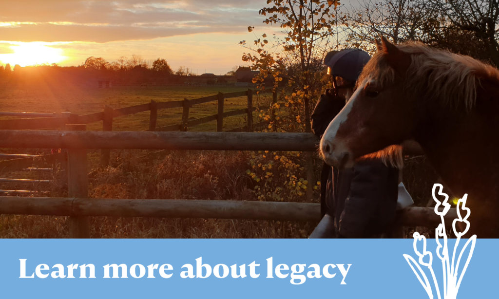 Learn more about legacy