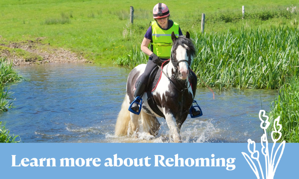 Learn more about Rehoming