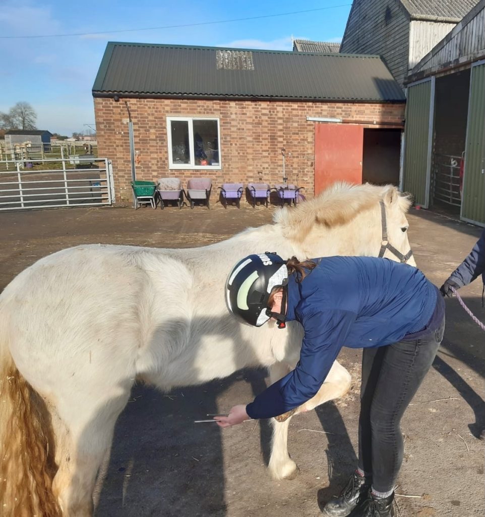 Vet student and pony