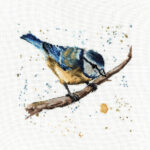 Blue Tit Cross Stitch