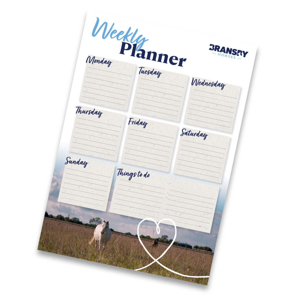 Magnetic Weekly Planner