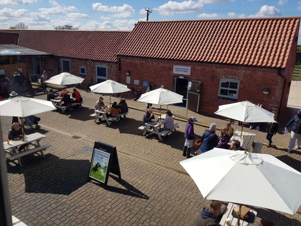 aerial image of the cafe courtyard with the table umbrellas up