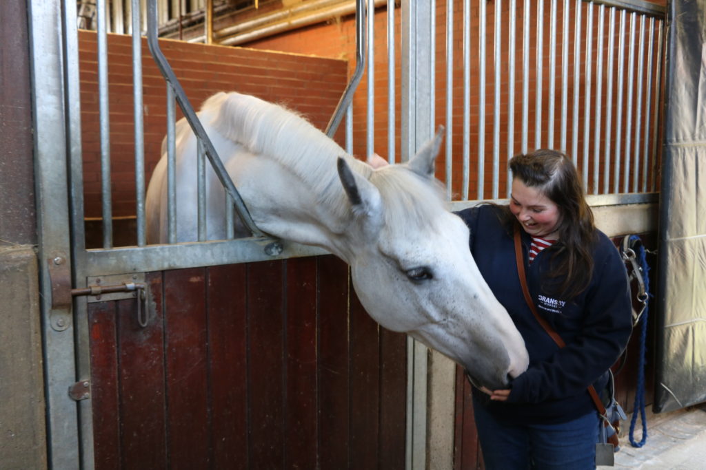 Bransby Horses meet the Manchester police horse team
