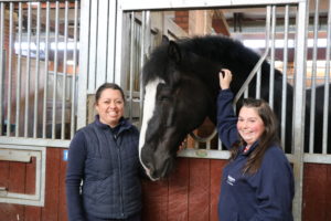 Bransby Horses meet Greater Manchester Police Horses