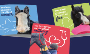 Selection of charity Gift Cards With a Difference