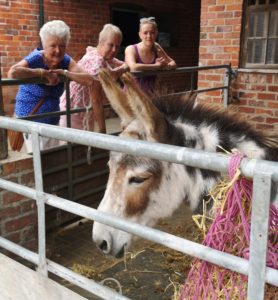Visitors and our donkey