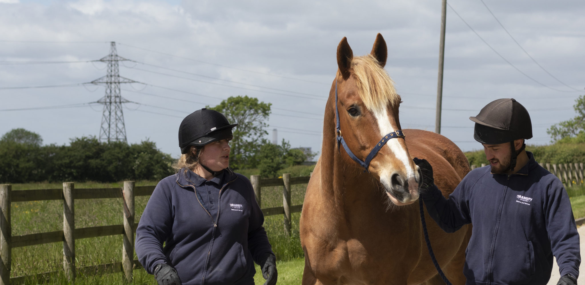 two members of staff walking either side of a chestnut horse down a path