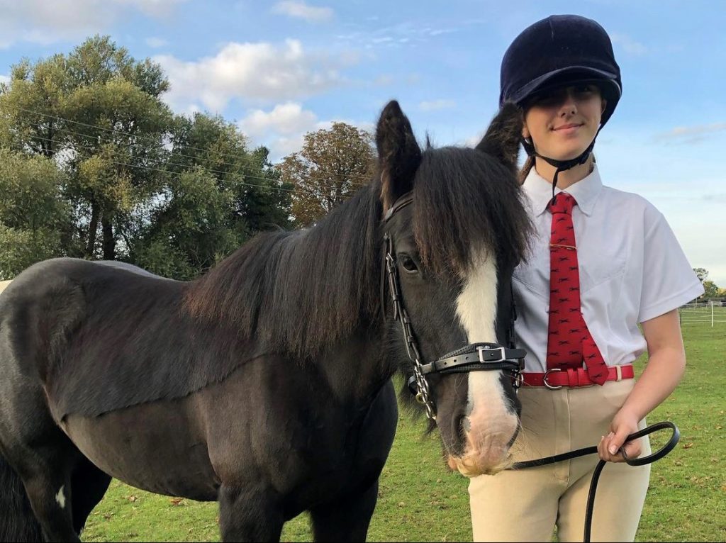 Pony at a show