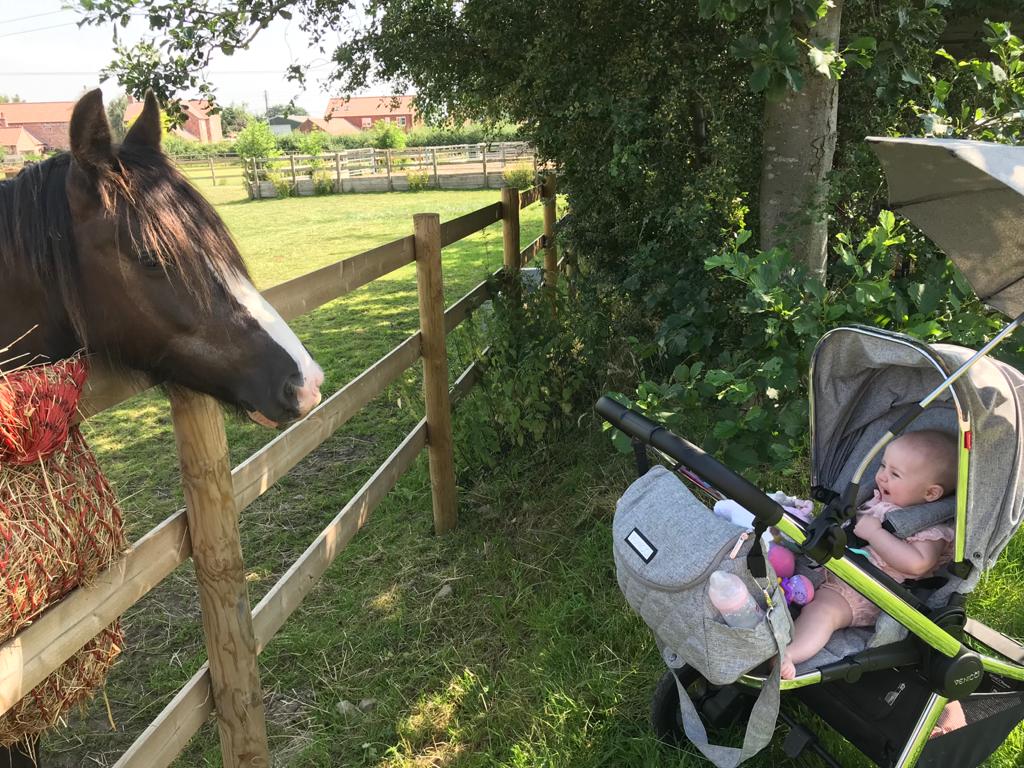 Baby in a pushchair smiles at a pony over the fence