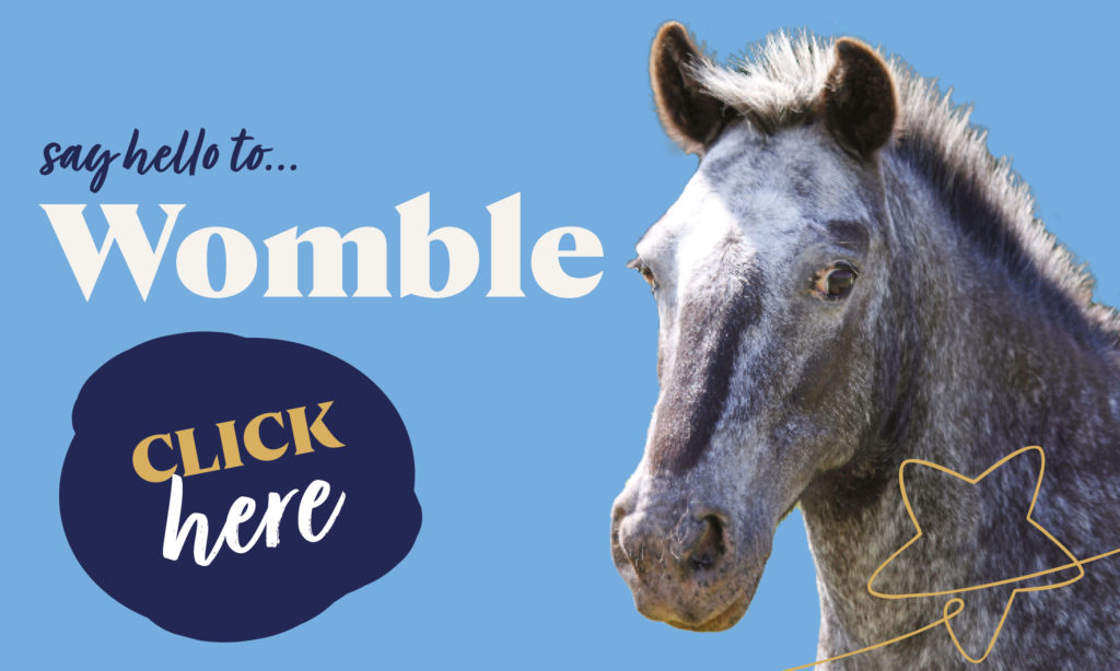Click here to sponsor Womble