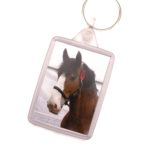 Hovis Keyring