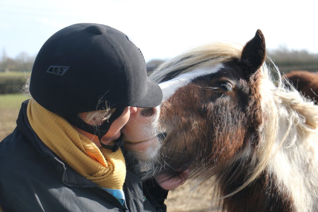 Pony love