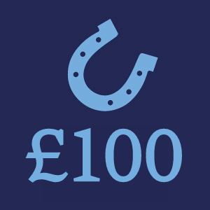 £100 Donation Button