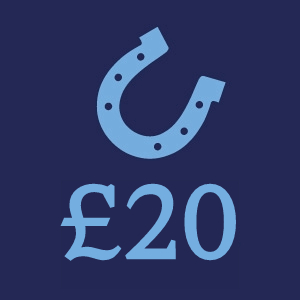 £20 Donation Button