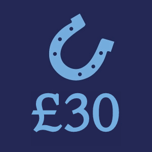 £30 Donation Button