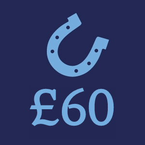 £60 Donation Button