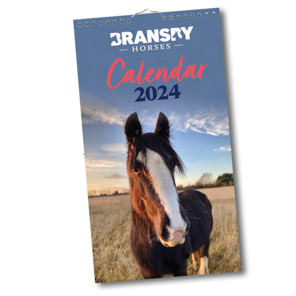 2024 Calendar Charity Calendars Bransby Horses