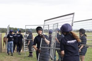 Bransby Horses Rescue Team