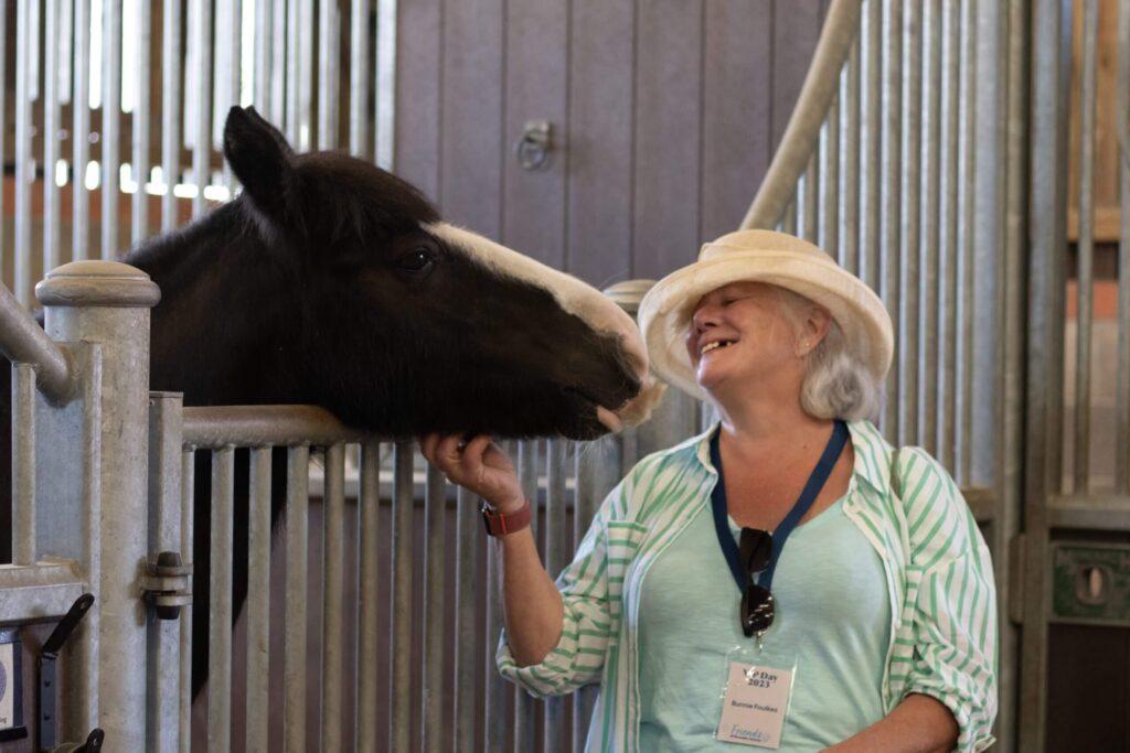 Meeting the equines
