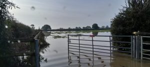 flooded fields at bransby horses