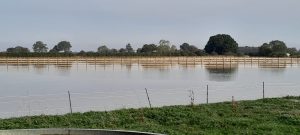 flooded fields at bransby horses