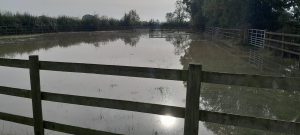 flooded fields at bransby horses