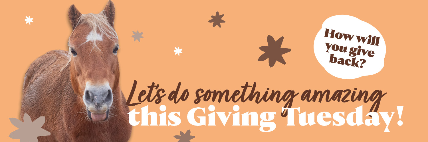 lets do something amazing this giving tuesday