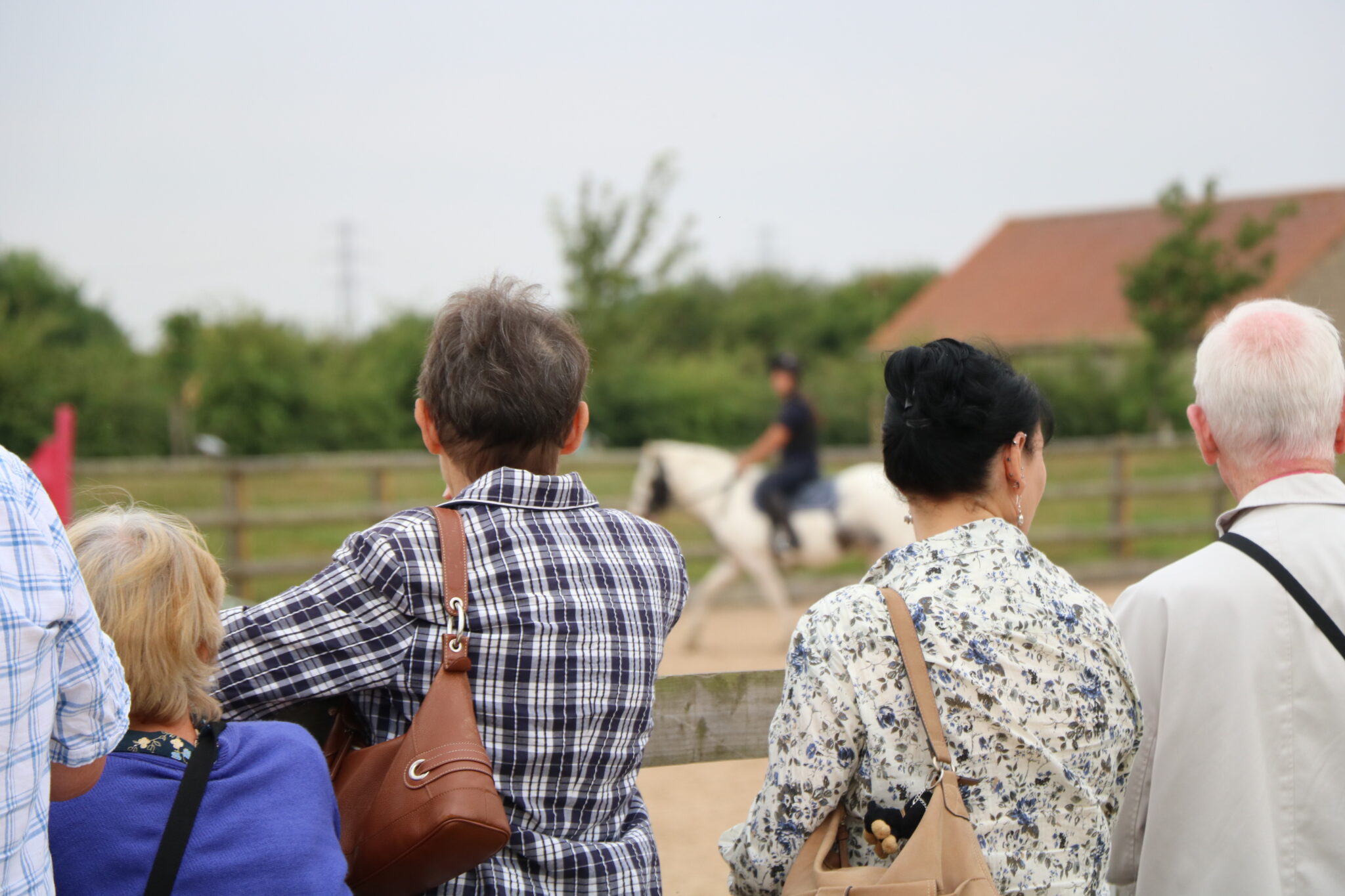VIP visitors stood against a fence watching a riding demonstration in a menage