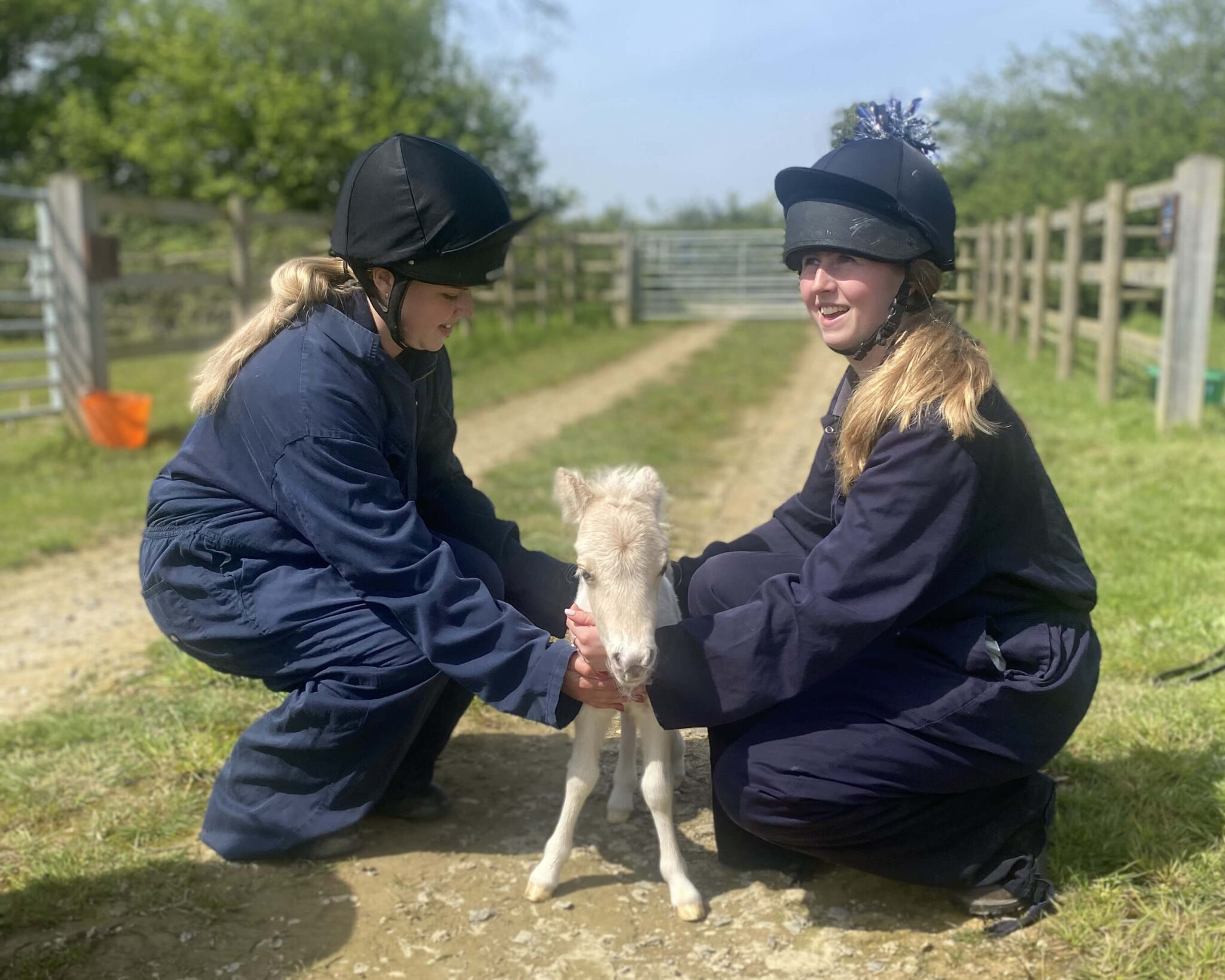 A tiny shetland pony foal being held by two members of staff
