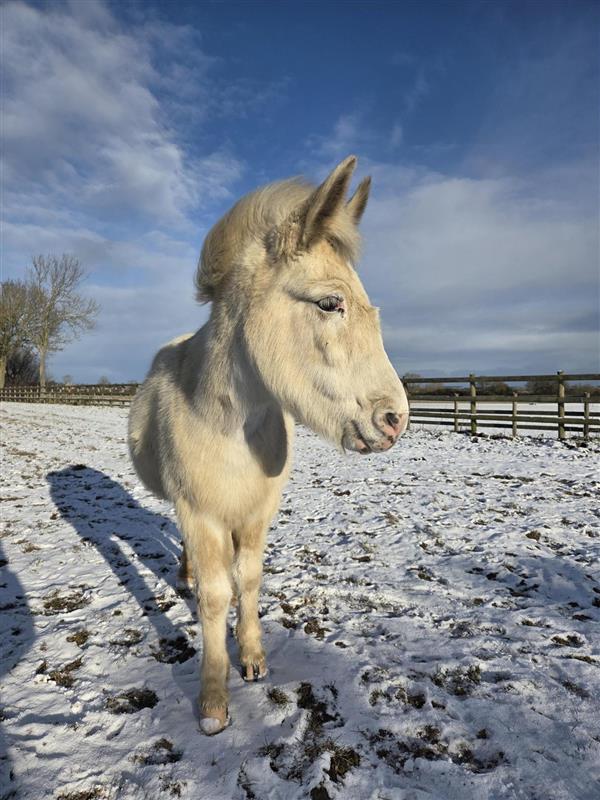 7de1b1bc-359a-4a50-8583-855692351ad7