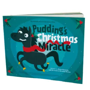 pudding's christmas miracle book cover