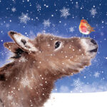 Robin & Donkey Christmas Cards