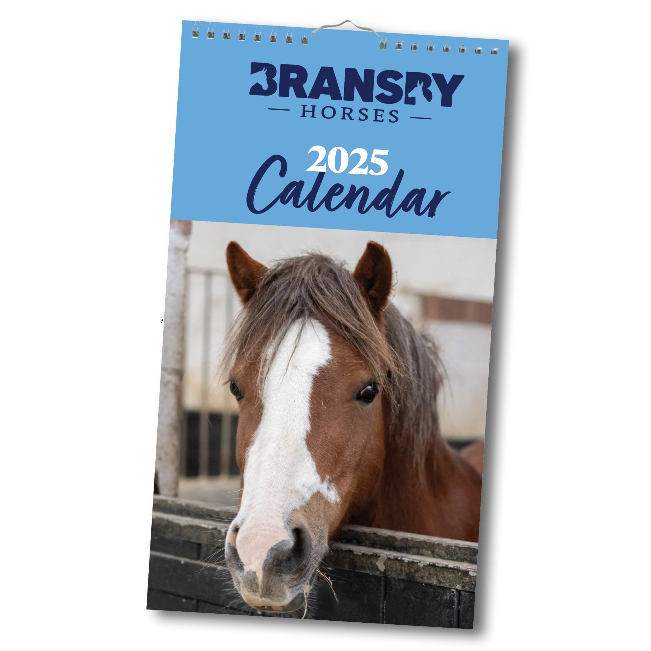 2025 Calendar Charity Calendars Bransby Horses