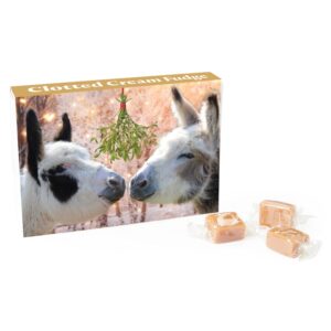 bransby horses branded clotted cream fudge, image shows two donkeys