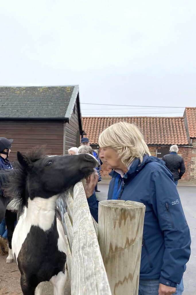 visitor stroking the nose of a yearling cob who's resting her head on the top railing of the fence
