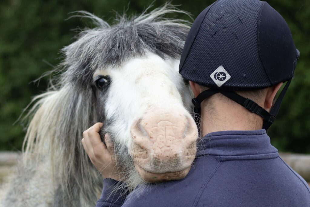 dappled grey pony resting their chin on the shoulder of a member of staff