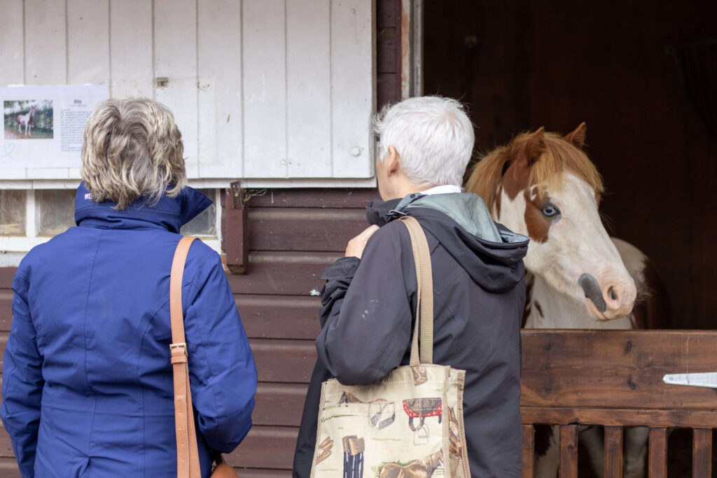 skewbald pony with his head over the stable door with visitors stood next to him
