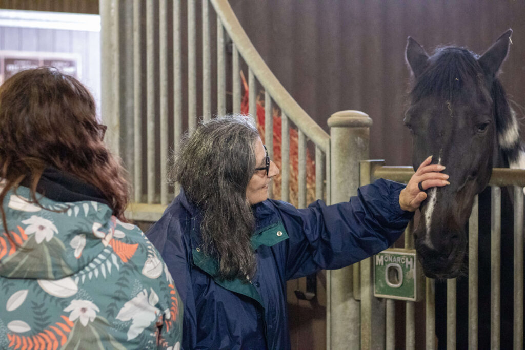 visitor stroking the nose of a sleepy looking piebald horse stood behind a stable door