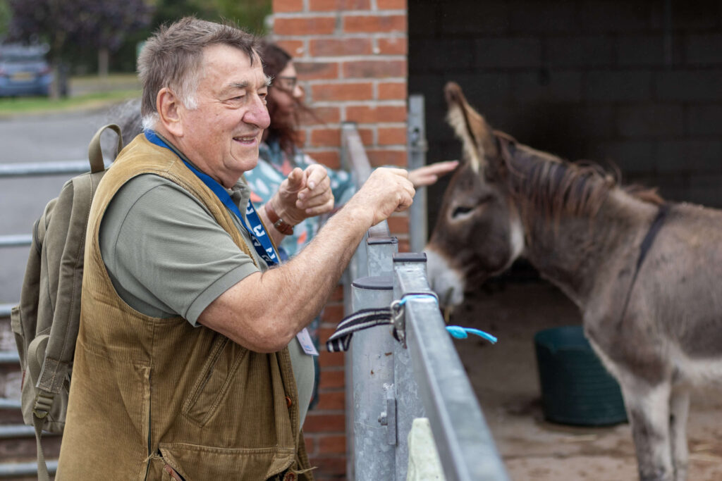 visitors stroking two donkeys in a paddock