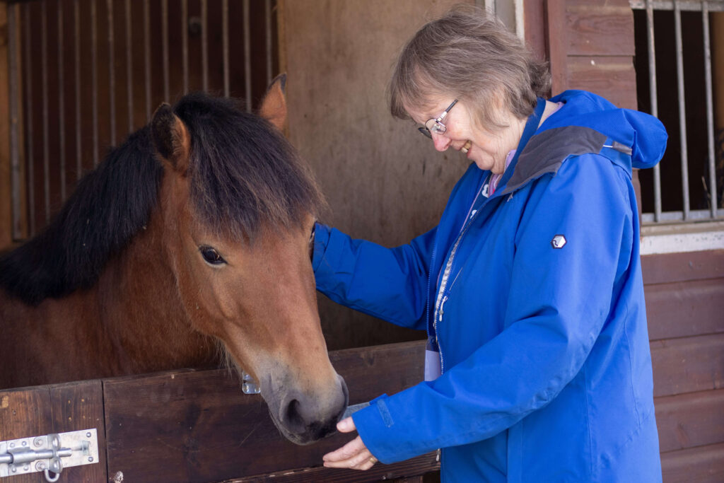 visitor wearing a blue coat and stroking a bay welsh pony