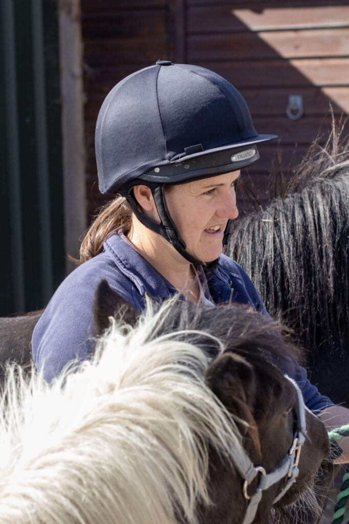 member of staff holding the headcollar of a yearling cob, talking to visitors over the gate