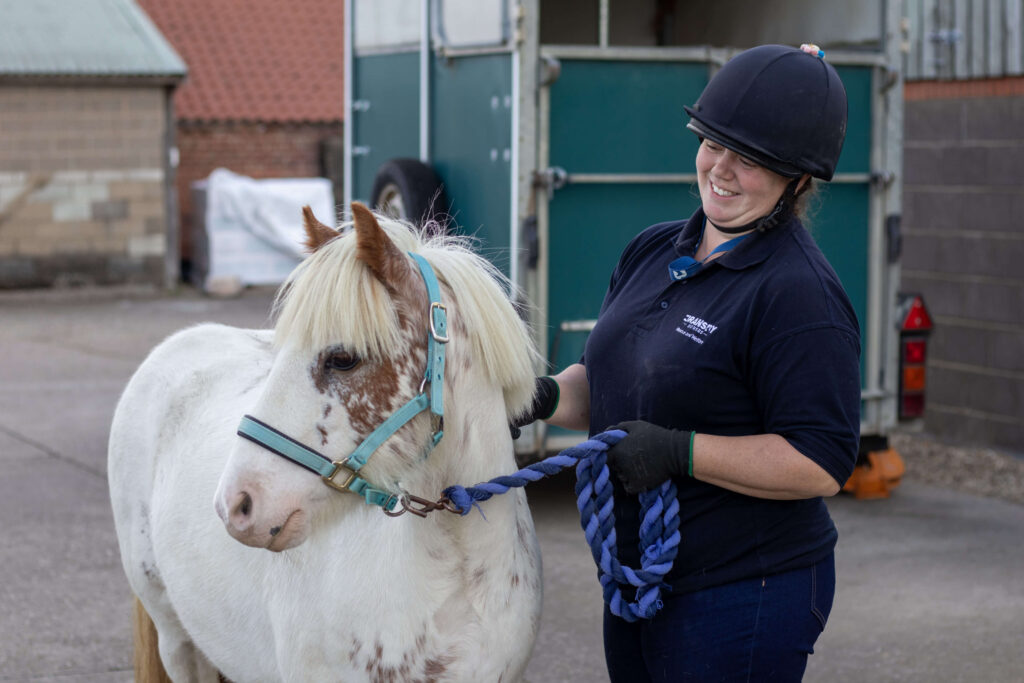 member of staff stood next to a skewbald welsh pony