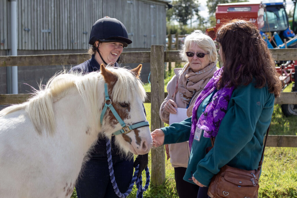 member of staff with a white and brown pony stood talking to visitors
