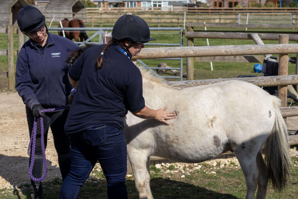 members of staff demonstrating how to look for areas of fat on a pony