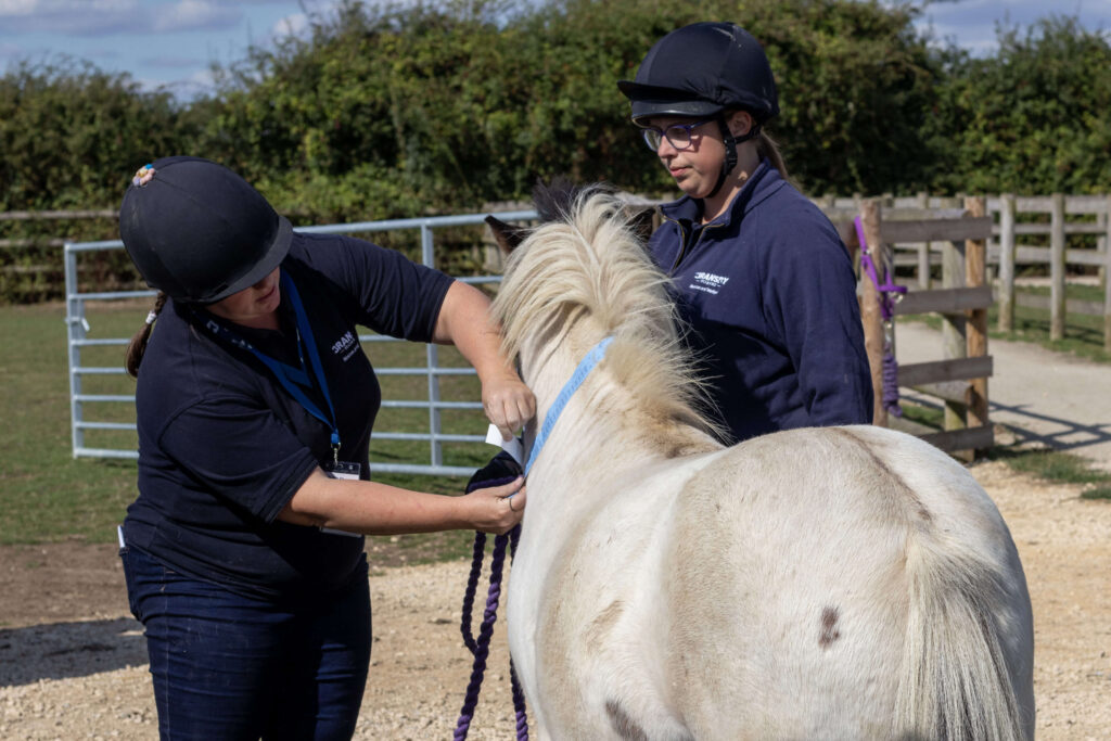 members of staff demonstrating the use of a weigh tape on a small white pony