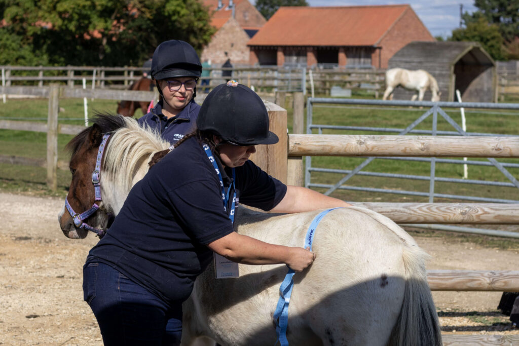 members of staff demonstrating the use of a weigh tape on a small white pony