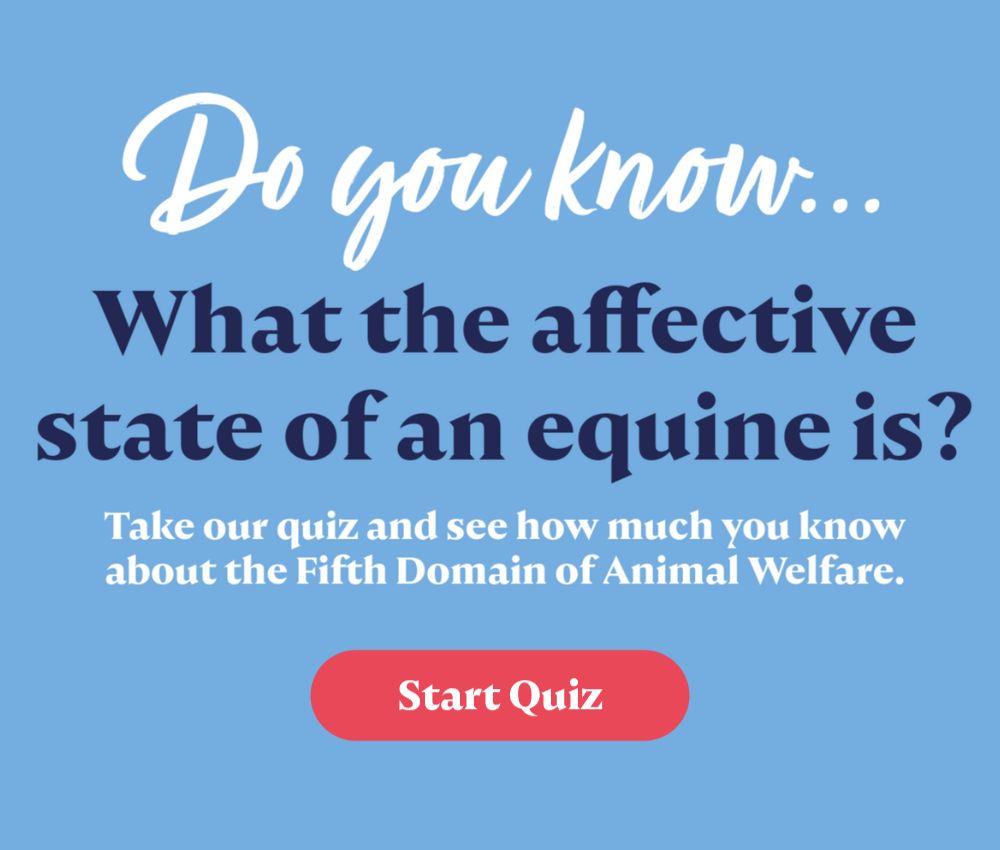 Do you know what the affective state of an equine is? Take our quiz and see how much you know about the fifth domain of animal welfare